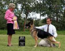edalegsd.com Jiimi