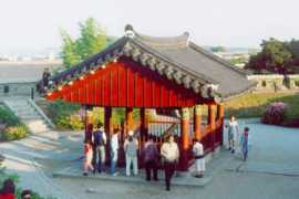 Jijin