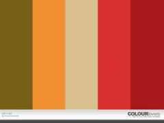 colourlovers.com Jijit