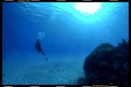 pdive.com Jilang