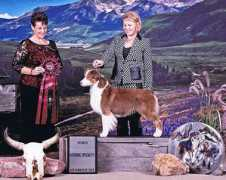 briarcliffkennel.com Jillayne