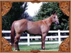 munkersfarms.com Jimette