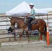 djbarranch.com Jiminey