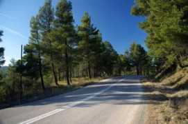 bestbikingroads.com Jimoo