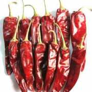 chinaypages.com Jinta
