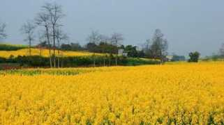 panoramio.com Jintang