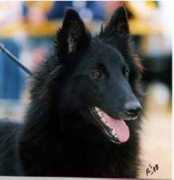 personal.inet.fi Jirian