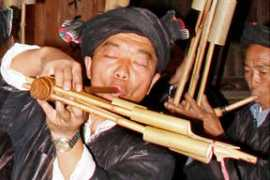 archives.starbulletin.com Jitang