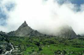 Jivesh