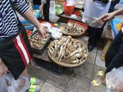 Jizong