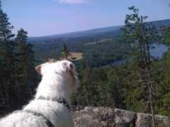 dayviews.com Jjohan