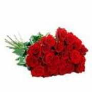Jjrose
