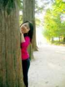 reedyfox.com Jjung