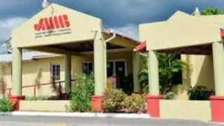 Jmmb