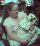 stealee.us Jobing