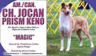 Jocan