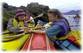 alaska.net Joellyne