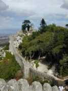 Joene