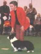 Jogela