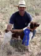 wildrosegermanshorthairs.com Johah