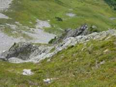 Johannesberg