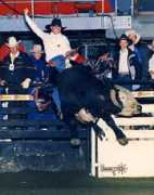 realwestern.com Johanse