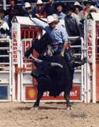 realwestern.com Johanse