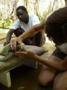 watamuturtlewatch.wildlifedirect.org Johathan