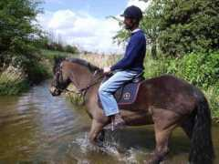 bulbystables.com Johnand
