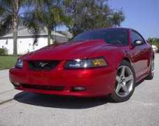 mustangworld.com Johnath
