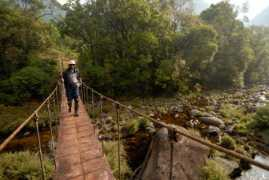 kalyanvarma.net Johnsingh