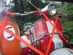 scoot.net Johnya