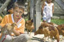 szabadfold.hu Joisten