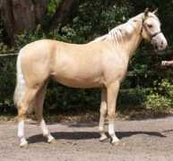 bathleyhillfarmlivery.com Joldis