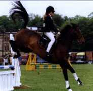 Jolyse