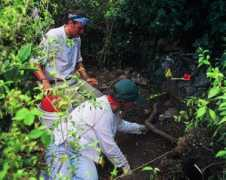 caribbeanarchaeology.com Jonann
