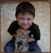 cheetahsdenbengals.com Jondalar