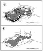 hawaiihumpbackwhale.noaa.gov Jooke