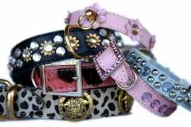 dogbedstore.com.au Jophi