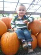 Jorden