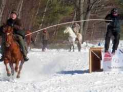 article.wn.com Joring