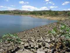 bezerroshoje.com Josevanio