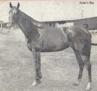 cloughrinka.tripod.com Josies