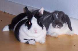 Joske