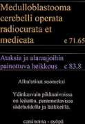 inport2.invalidiliitto.fi Jossai