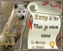 spasaverne67.free.fr Josya