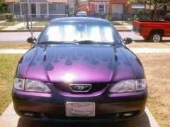 mustangworld.com Jovannie