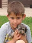 bigrockvonkennels.com Joveli