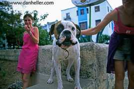 danheller.com Jowl