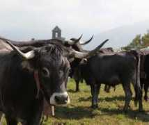 objetivocantabria.eldiariomontanes.es Jramon